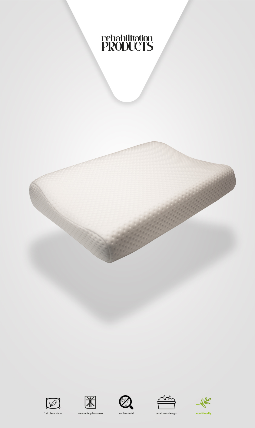 VISCO SLEEP AND NECK PILLOW (L)